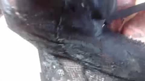 Mature lover2 online show from 02.27.25