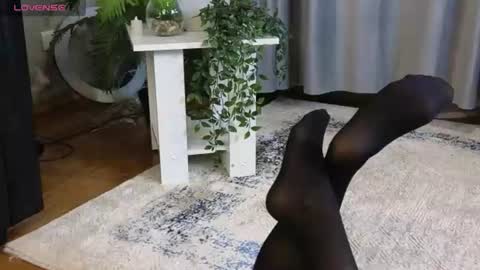 lowkeywild_ online show from 06.12.26