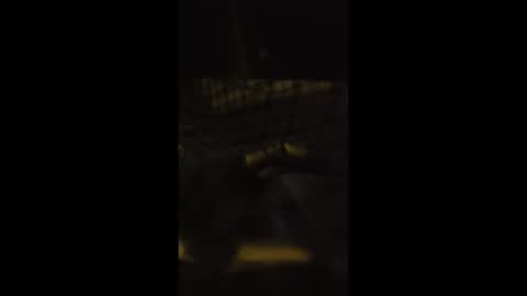 lspd359 online show from 04.13.26