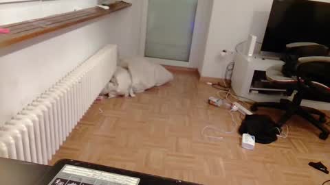 lu25humiliation online show from 01.10.25