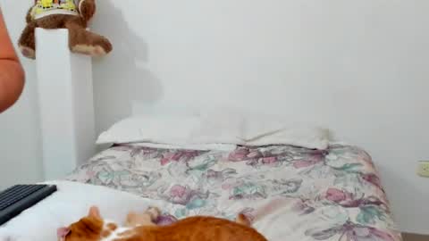 luara__01__lecat_1 online show from 02.11.26