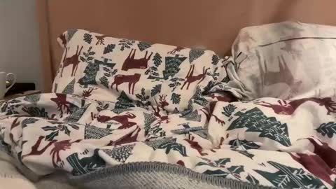 lucca_d123 online show from 09.22.25