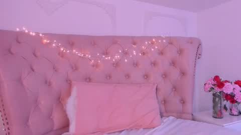 Snapshot of luciana_roa chatting on 11.29.25 Luciana online show from 11.29.25