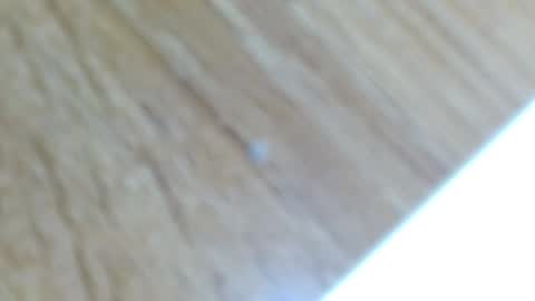 Snapshot of lucie_nicolls chatting on 12.13.24 Lucie online show from 12.13.24