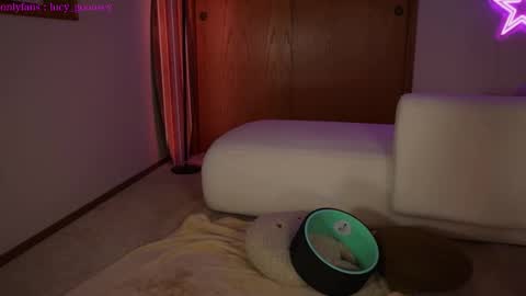 Lucy. online show from 02.03.25