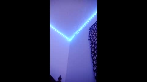 luis793806 online show from 04.05.26