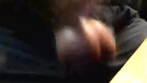 Snapshot of lukestarfckr chatting on 10.17.25 lukestarfckr online show from 10.17.25