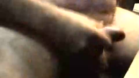 Snapshot of lukestarfckr chatting on 11.02.25 lukestarfckr online show from 11.02.25