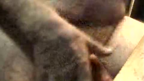 Snapshot of lukestarfckr chatting on 11.10.25 lukestarfckr online show from 11.10.25