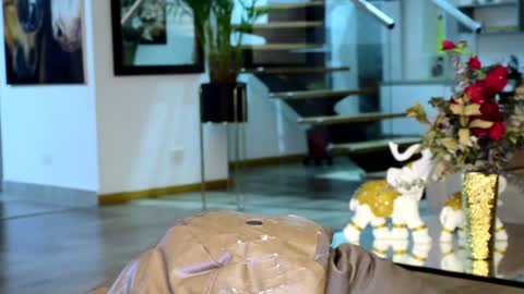 Lukhas f4f online show from 02.01.25