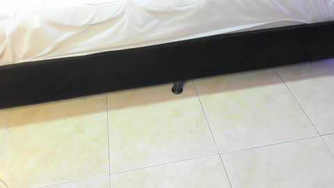 lulu online show from 02.10.26