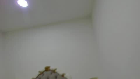 luna forever7 online show from 04.14.26