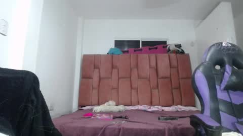 Snapshot of luna_rosita chatting on 12.02.24 Luna online show from 12.02.24