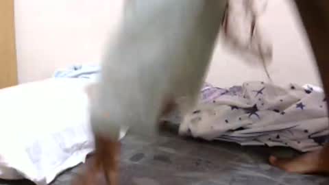 lunargoddess45 online show from 03.03.26