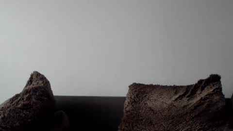 Lupine online show from 01.05.25