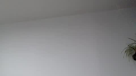 Lupine online show from 09.17.25