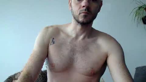 Lupine online show from 10.16.25