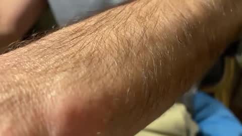 lupushorny online show from 09.20.25