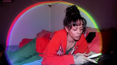 LOLA online show from 12.11.24