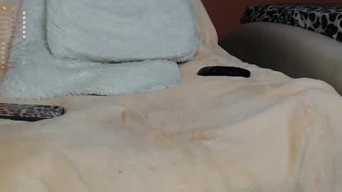 Palma online show from 01.18.25