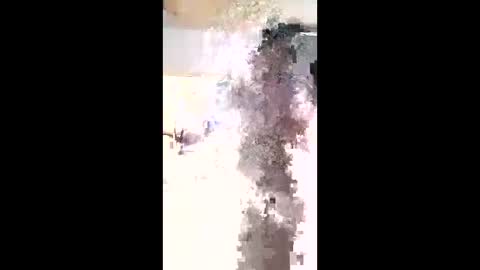 maciasbraulio846 online show from 02.03.26