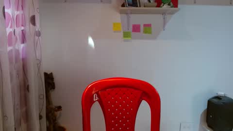 Madison Cambel online show from 01.29.25