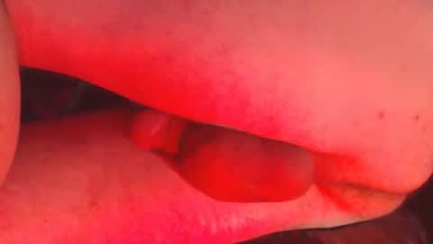 maestro2017 online show from 12.08.24