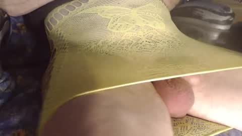 maestro2017 online show from 02.14.26