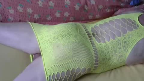 maestro2017 online show from 04.19.26