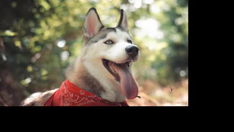 magic_katarina_ online show from 01.25.25