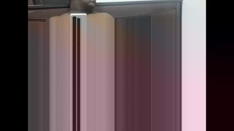 maheel84 online show from 01.11.26