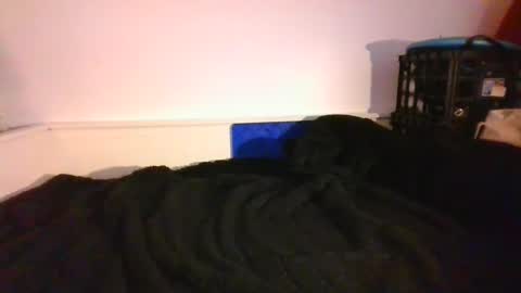 CommandbondageNipples bondage kink submissive lovense slave wgear. modequiethvyBondage If Password goldfish online show from 12.14.24