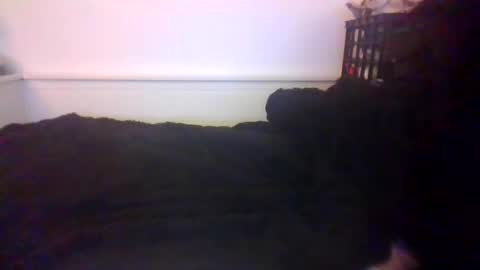 CommandbondageNipples bondage kink submissive lovense slave wgear. modequiethvyBondage If Password goldfish online show from 10.20.25