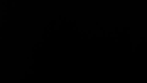 Alice Asylum online show from 11.20.25