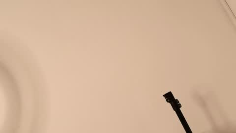 Lory  online show from 04.12.26