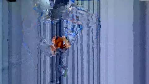 maluma1981 online show from 12.22.24