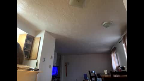 mamaboozey online show from 03.01.26