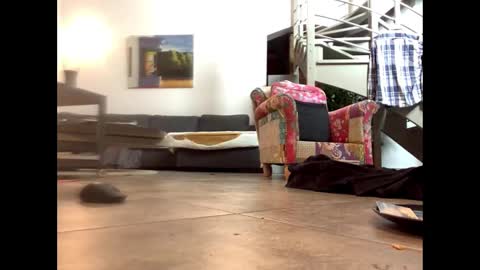 man38110 online show from 02.14.25