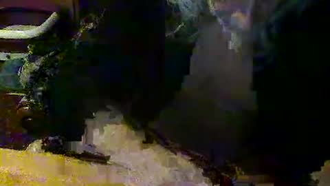 mangochurro online show from 04.30.26