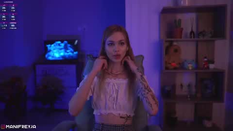 Snapshot of manifreyja chatting on 12.08.24 Amelie online show from 12.08.24