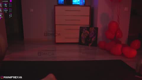 Snapshot of manifreyja chatting on 03.04.25 Amelie online show from 03.04.25