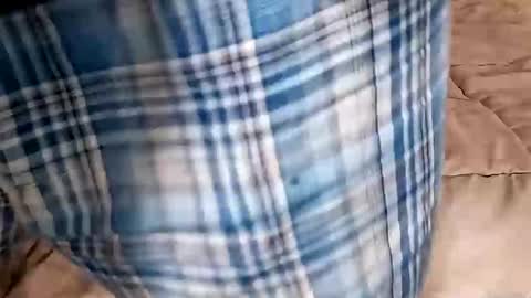 Dickinabox online show from 09.14.25