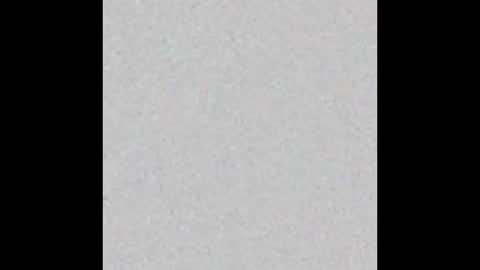 mantismillie online show from 10.12.25
