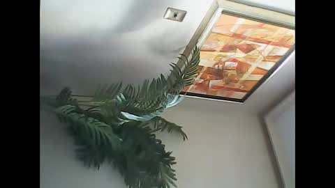 Snapshot of manu_481 chatting on 03.07.25 manu_481 online show from 03.07.25