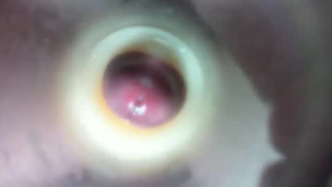 Marc online show from 02.23.26