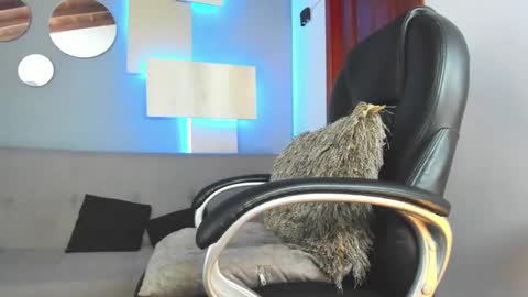 Marcus Jax1 online show from 02.14.25