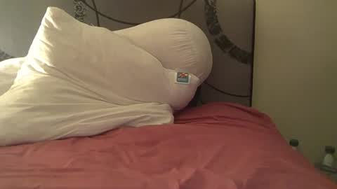 mardgeer_01 online show from 10.12.25