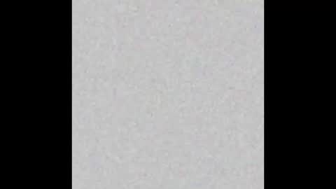 Margot online show from 12.28.24