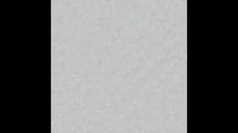 Margot online show from 01.31.25