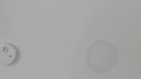 Maria Pettit online show from 02.18.26